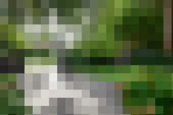 Oosterduinweg 24 Aerdenhout thumbnail 33