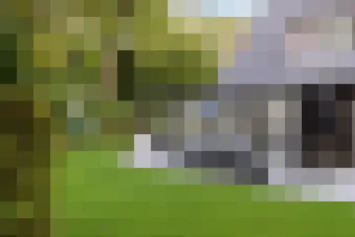 Oosterduinweg 248 Aerdenhout thumbnail 16