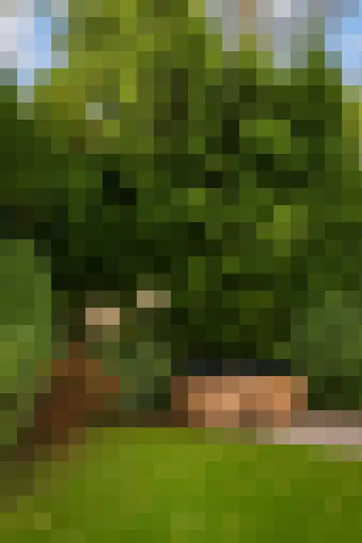 Oosterduinweg 248 Aerdenhout thumbnail 18