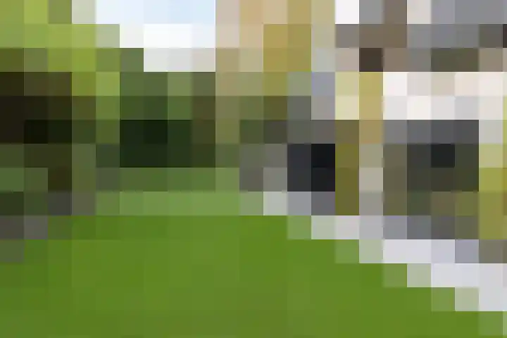 Oosterduinweg 248 Aerdenhout thumbnail 21