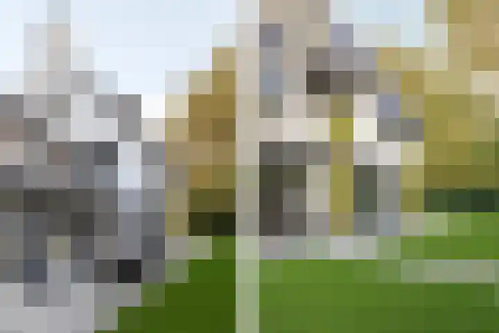 Oosterduinweg 248 Aerdenhout thumbnail 53