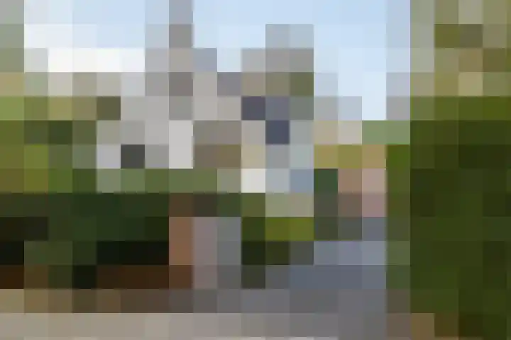Oosterduinweg 248 Aerdenhout thumbnail 59