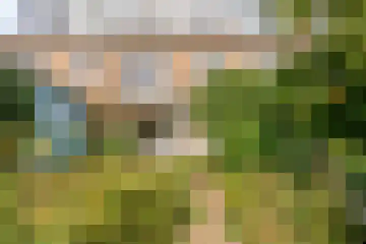 Oosterduinweg 31 Haarlem thumbnail 20