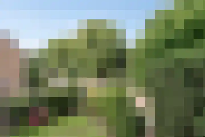 Oosterduinweg 31 Haarlem thumbnail 30