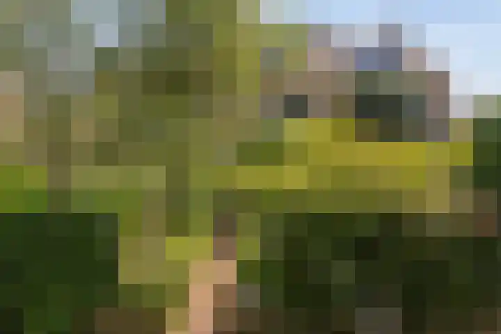 Oosterduinweg 31 Haarlem thumbnail 41