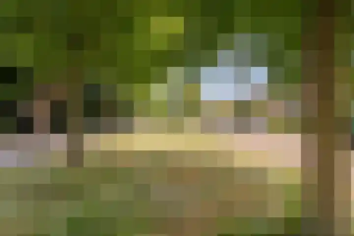 Oosterduinweg 31 Haarlem thumbnail 42