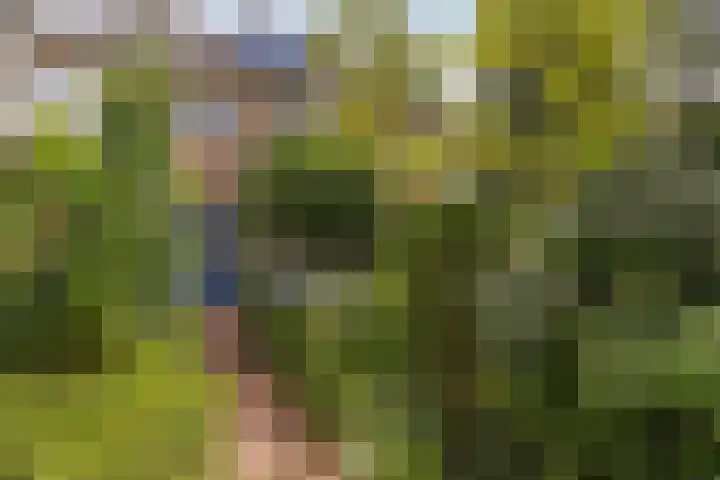 Oosterduinweg 31 Haarlem thumbnail 6