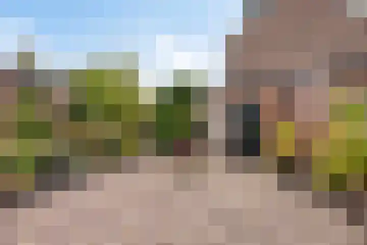 Oosterduinweg 42 IJmuiden thumbnail 30