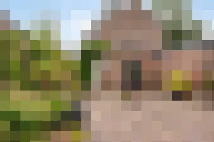 Oosterduinweg 42 IJmuiden thumbnail 31