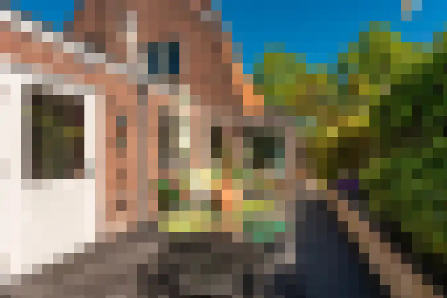 Oosterdwarslaan 12 Driebergen-Rijsenburg foto 3