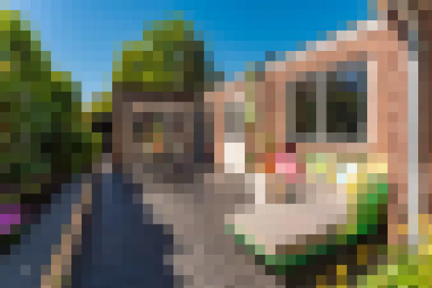 Oosterdwarslaan 12 Driebergen-Rijsenburg thumbnail 35