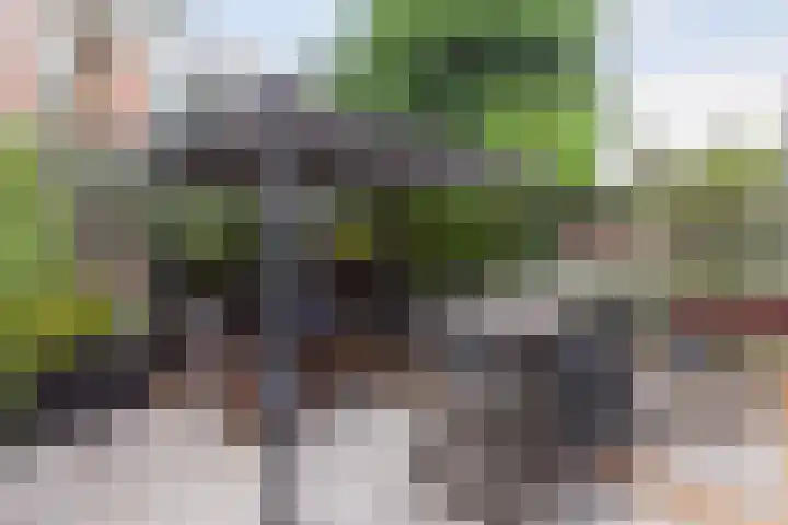 Oosterdwarsstraat 1 Vlaardingen thumbnail 17