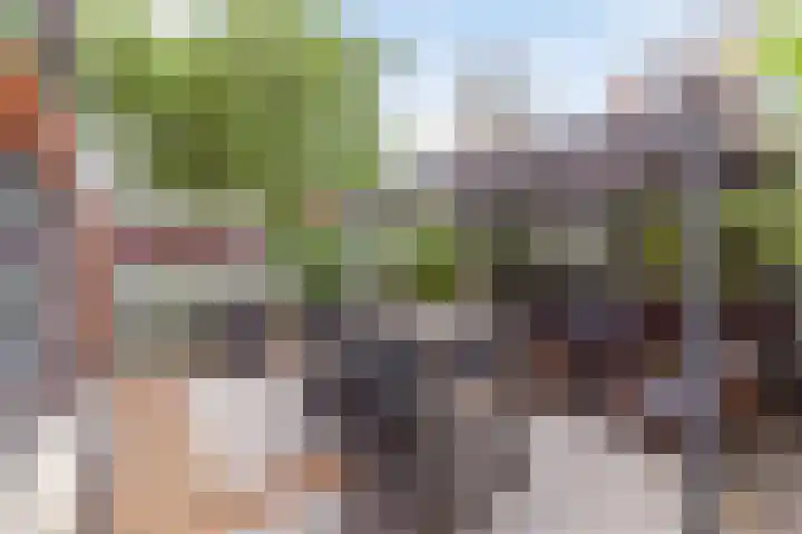 Oosterdwarsstraat 1 Vlaardingen thumbnail 18