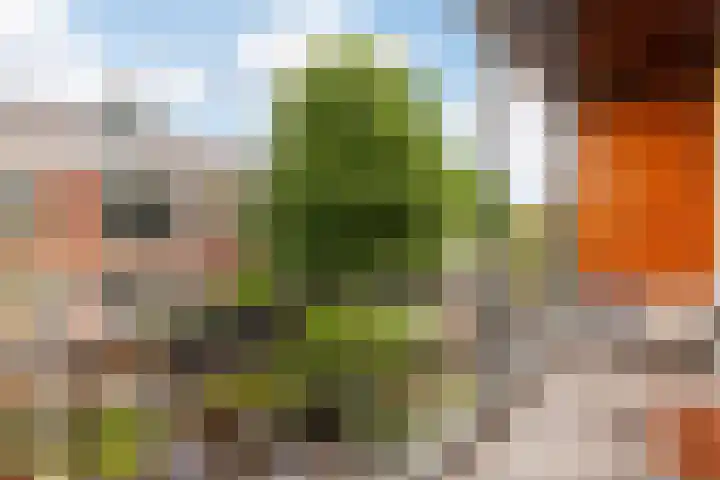 Oosterdwarsstraat 1 Vlaardingen thumbnail 32