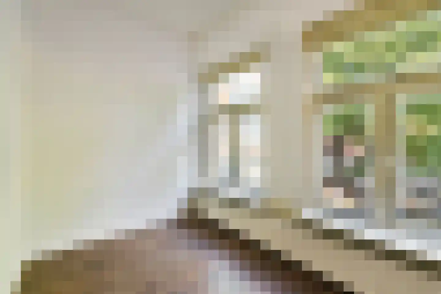 Oosterdwarsstraat 21 Leiden thumbnail 16