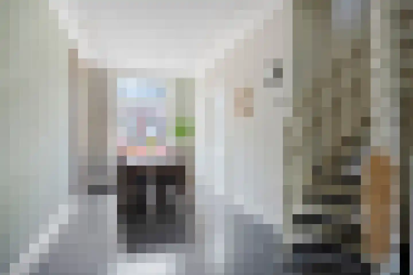 Oosterdwarsstraat 22 Leiden thumbnail 18
