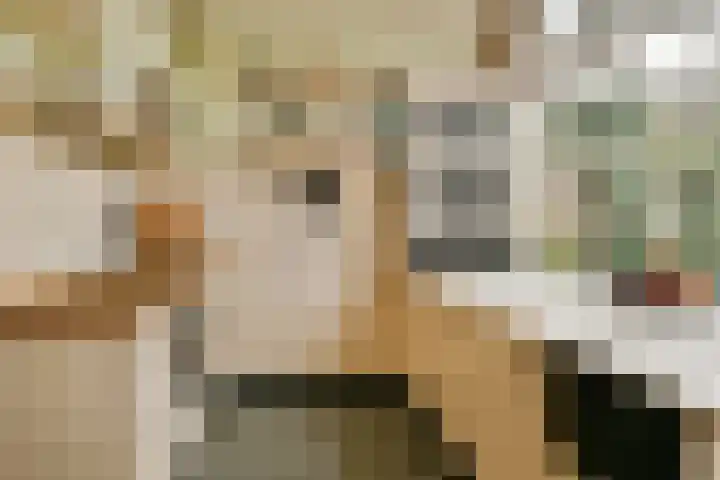 Oosterdwarsstraat 34 Leiden thumbnail 9