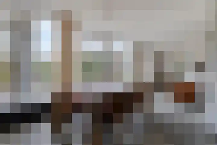 Oosteregge 7 Nijeberkoop thumbnail 12