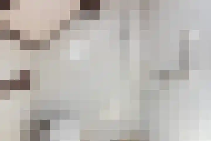 Oosteregge 7 Nijeberkoop thumbnail 12