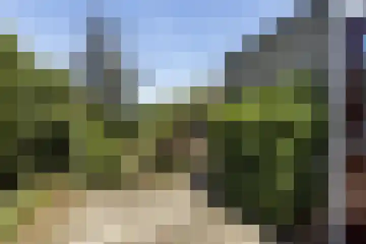 Oosteregge 7 Nijeberkoop thumbnail 13