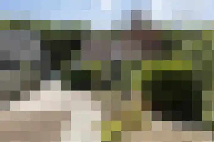 Oosteregge 7 Nijeberkoop thumbnail 14