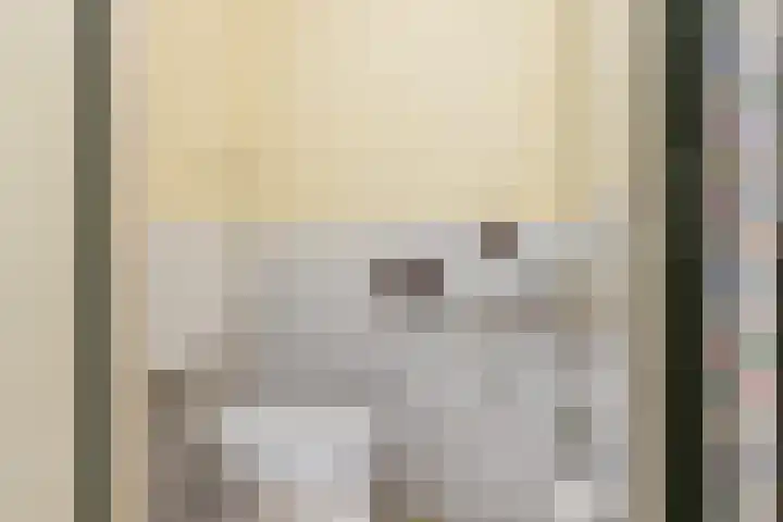 Oosteregge 7 Nijeberkoop thumbnail 4