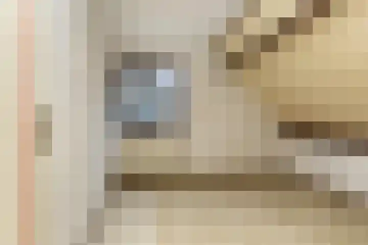 Oosteregge 7 Nijeberkoop thumbnail 8