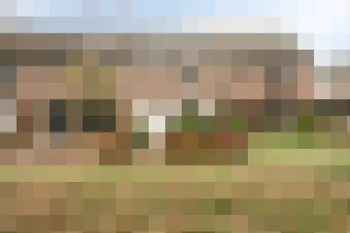 Oostereind 18 in Wachtum