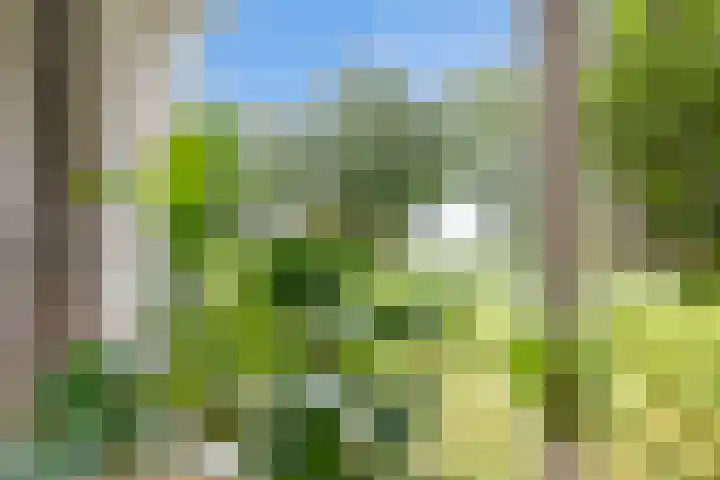 Oostereind 18 Wachtum thumbnail 14