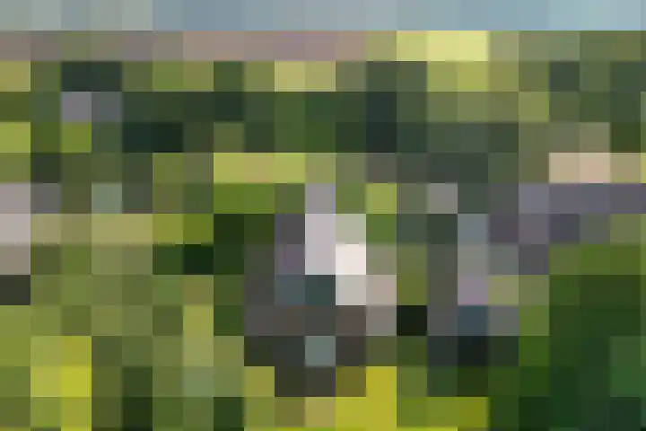 Oostereind 18 Wachtum foto 2