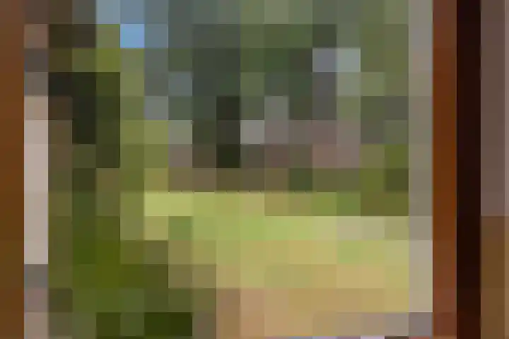 Oostereind 18 Wachtum thumbnail 27