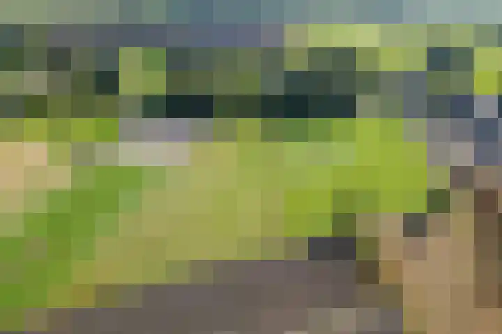 Oostereind 18 Wachtum foto 3