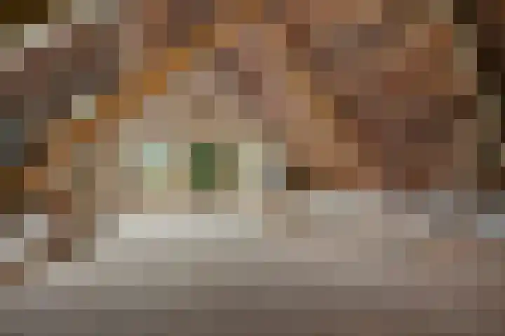 Oostereind 18 Wachtum thumbnail 38