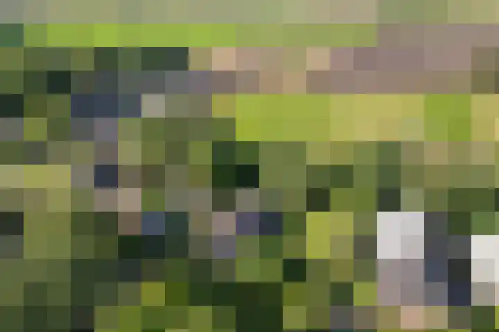 Oostereind 18 Wachtum thumbnail 4