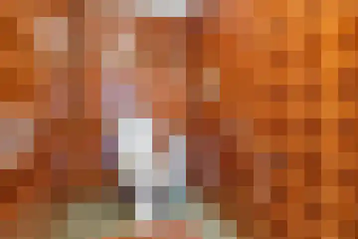 Oostereind 18 Wachtum thumbnail 41