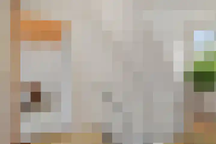 Oostereind 18 Wachtum thumbnail 42