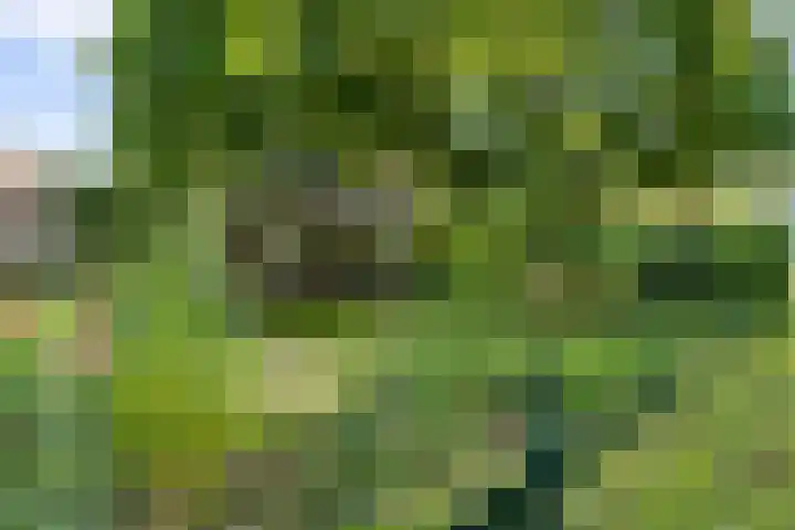 Oostereind 18 Wachtum thumbnail 51