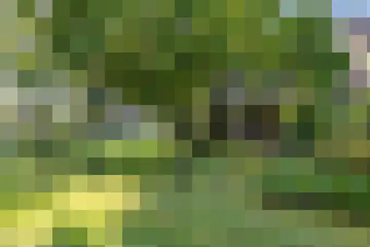 Oostereind 18 Wachtum thumbnail 52