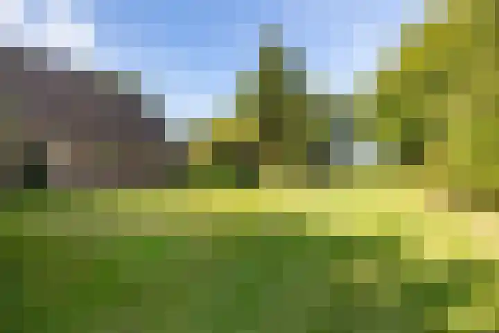 Oostereind 18 Wachtum thumbnail 53