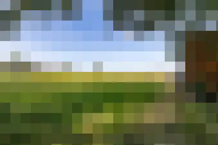 Oostereind 18 Wachtum thumbnail 55