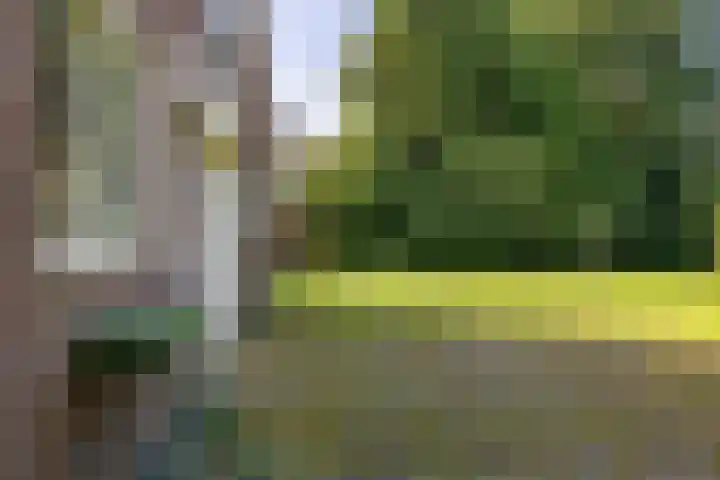 Oostereind 18 Wachtum thumbnail 57