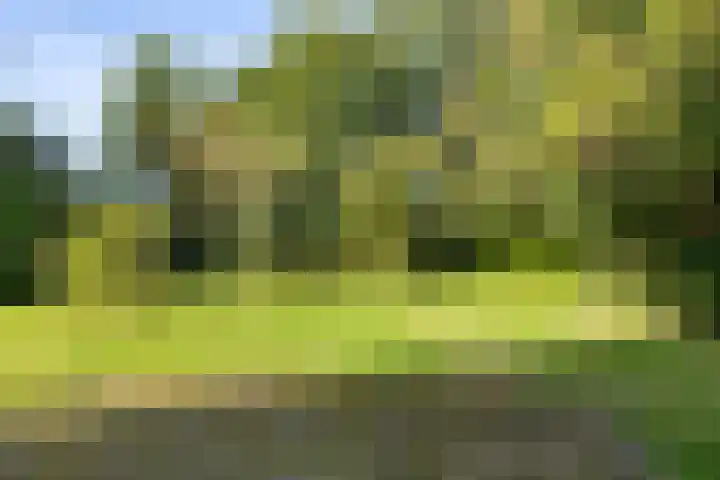 Oostereind 18 Wachtum thumbnail 58