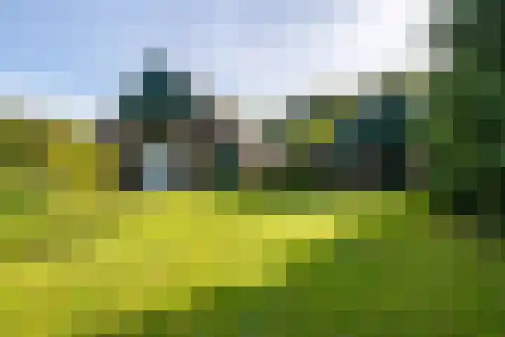 Oostereind 18 Wachtum thumbnail 59