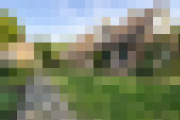 Oostereind 18 Wachtum thumbnail 6