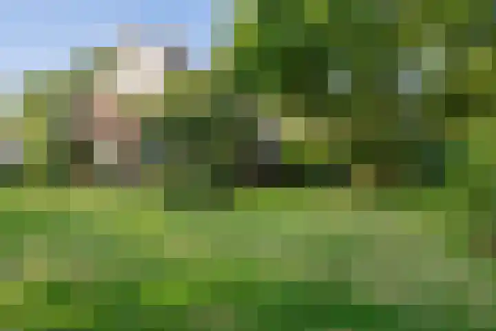 Oostereind 18 Wachtum thumbnail 60