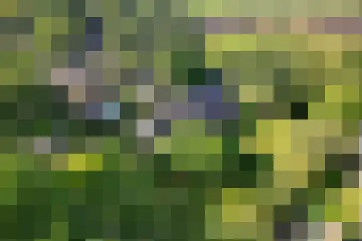 Oostereind 18 Wachtum thumbnail 61