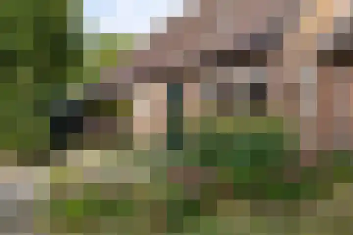 Oostereind 18 Wachtum thumbnail 7