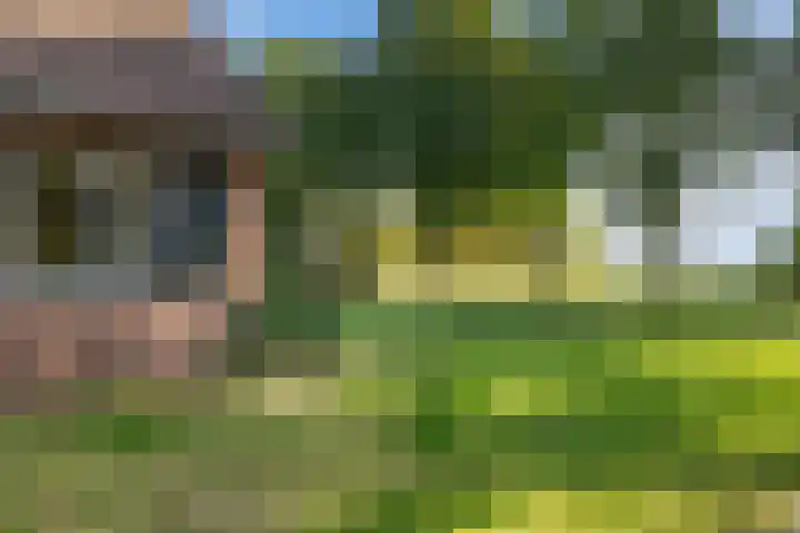 Oostereind 18 Wachtum thumbnail 9