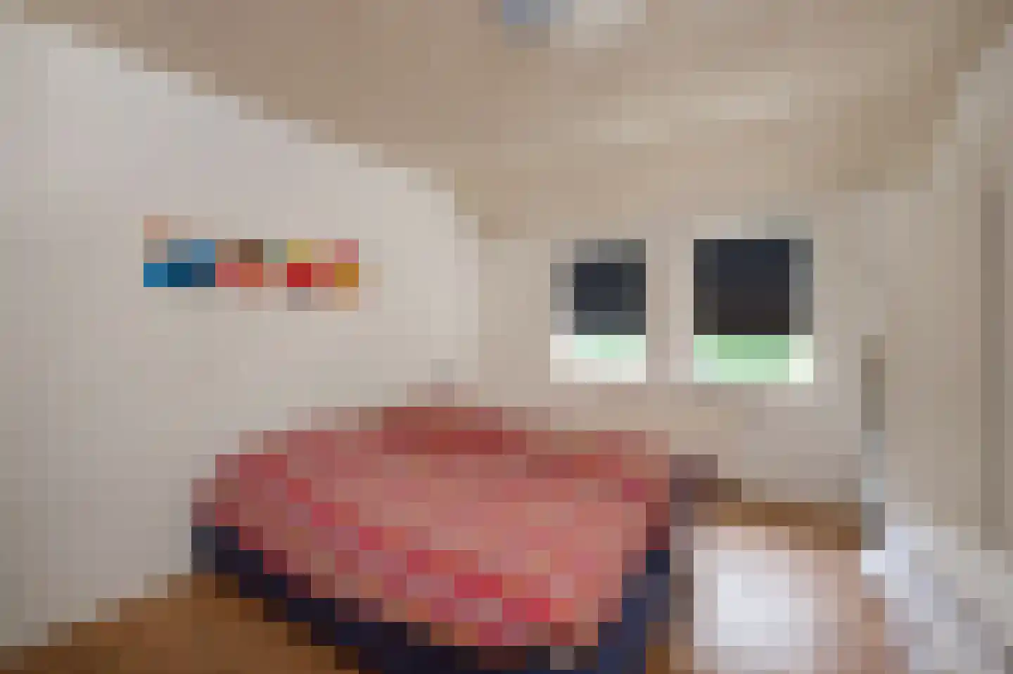 Oostereind 4 Grolloo thumbnail 10