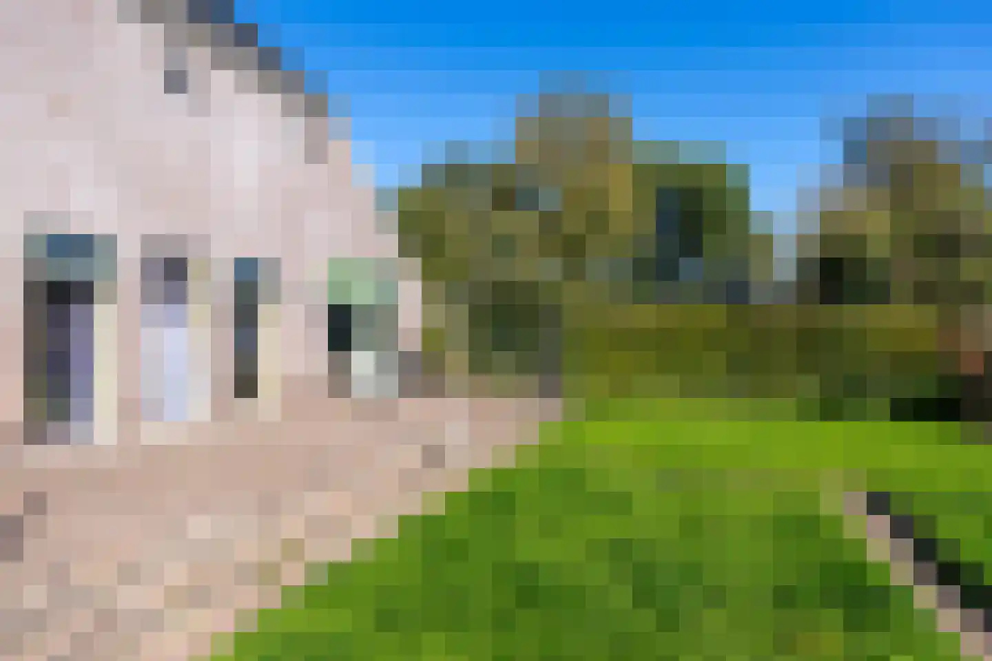 Oostereind 4 Grolloo thumbnail 13